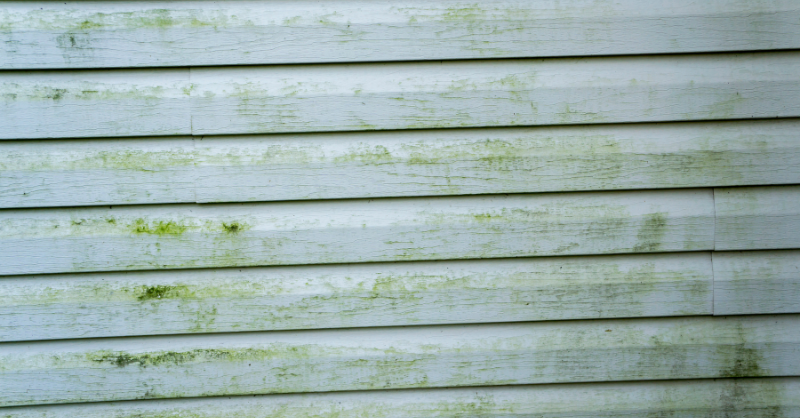 How To Remove Mold & Mildew from Exterior of a House